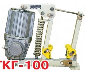 Тормоз колодочный ТКГ-100 с гидротолкателем ТЭ-30